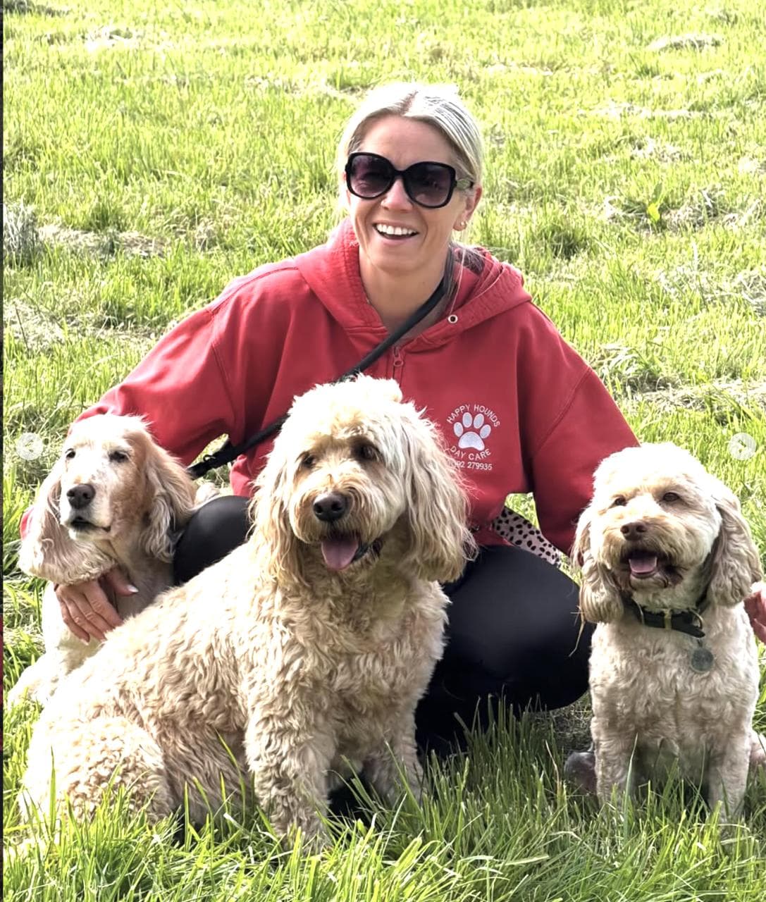 Hayley crouched in the long meadow grass with three cockapoos pressed in close — sunny portrait, Happy Hounds red hoodie.