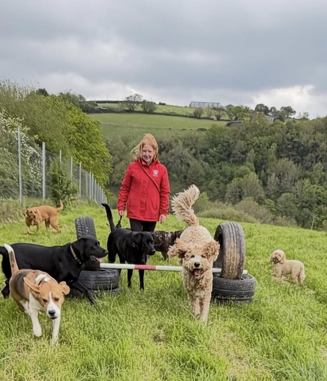 Hayley in the meadow with five dogs running and standing around the tyre obstacle — open Devon countryside rolling away behind them.