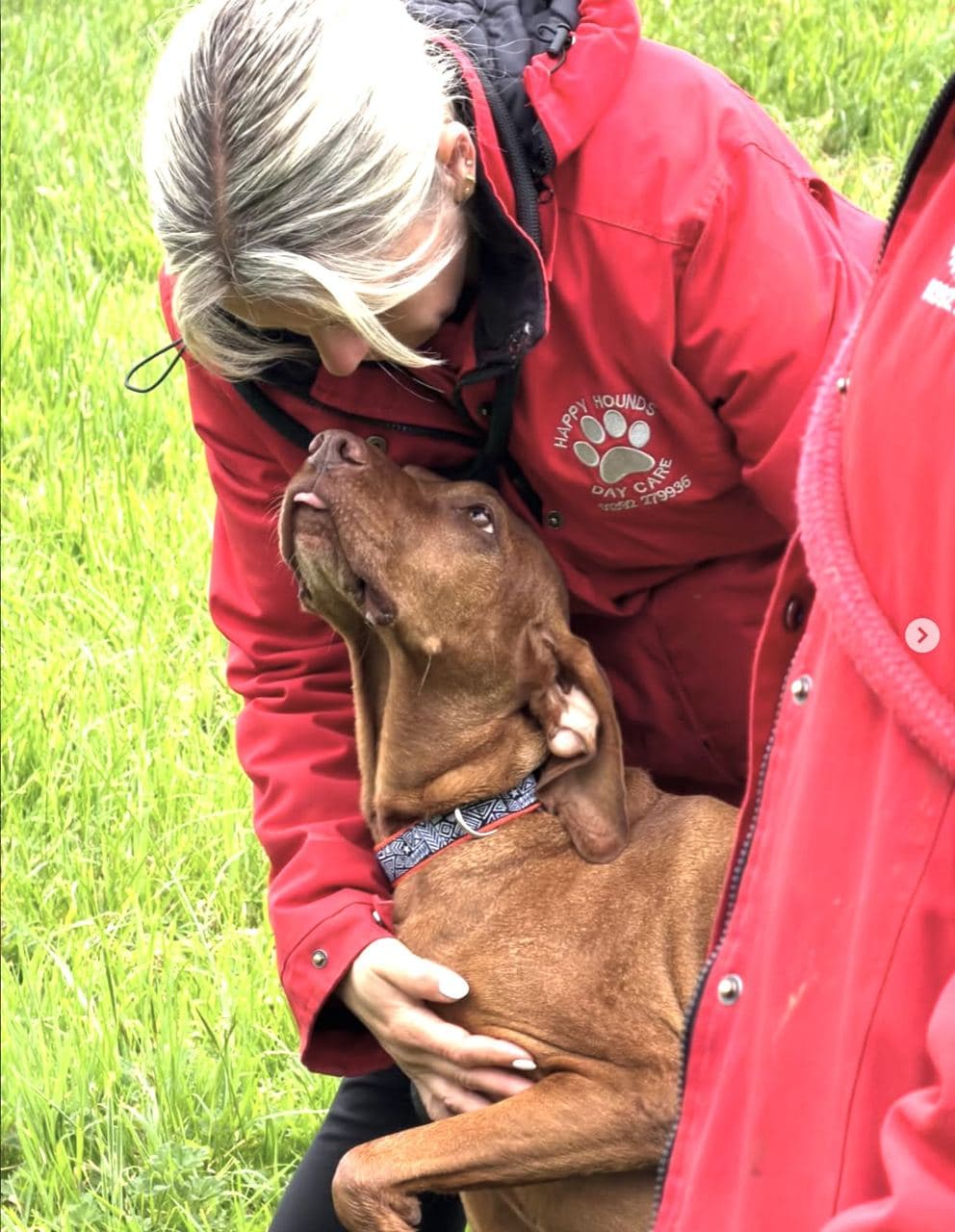Hayley with a brown Labrador in a Happy Hounds red coat