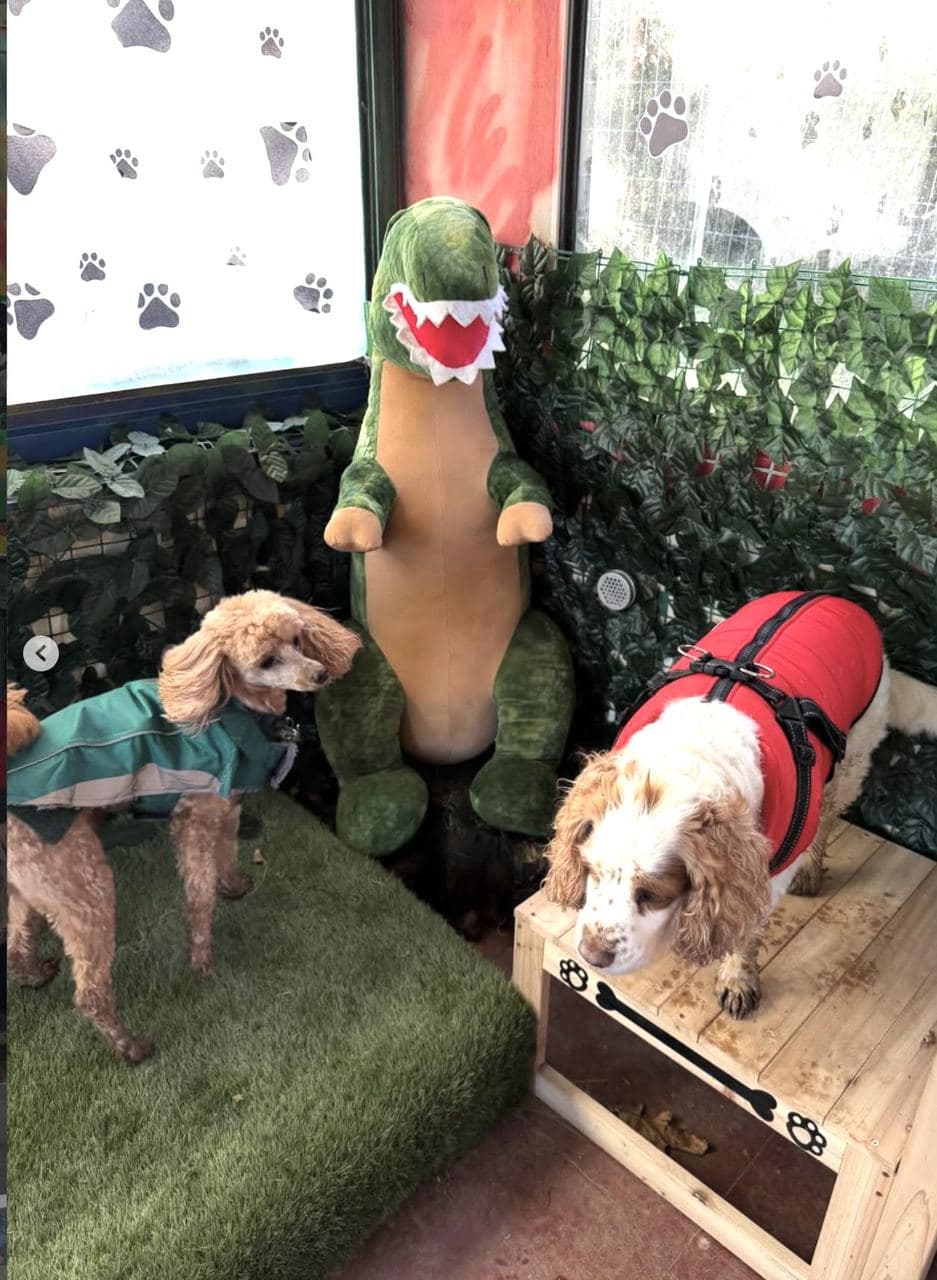 Two dogs exploring the Jungle Room — green foliage walls, astroturf floor and a giant T-rex soft toy